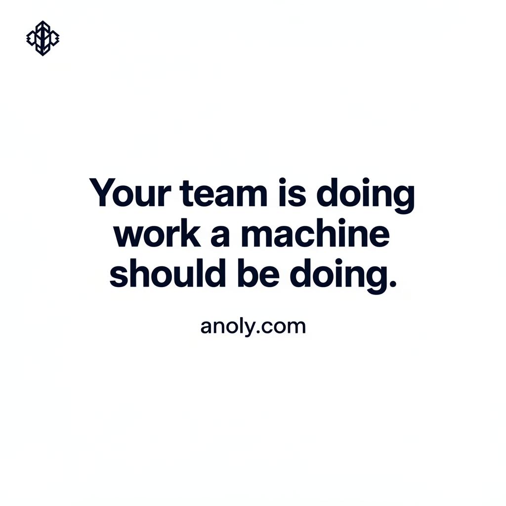 ANOLY logo